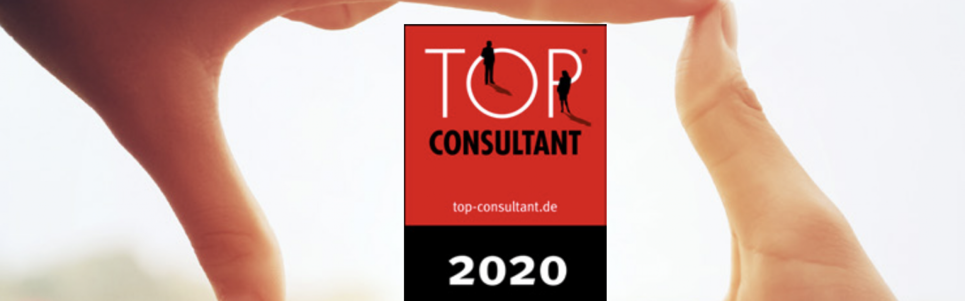 Top-Consultant